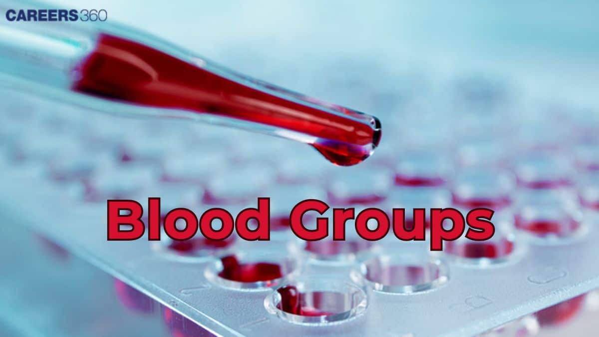 Blood Groups-ABO Blood Group and Rh Group System
